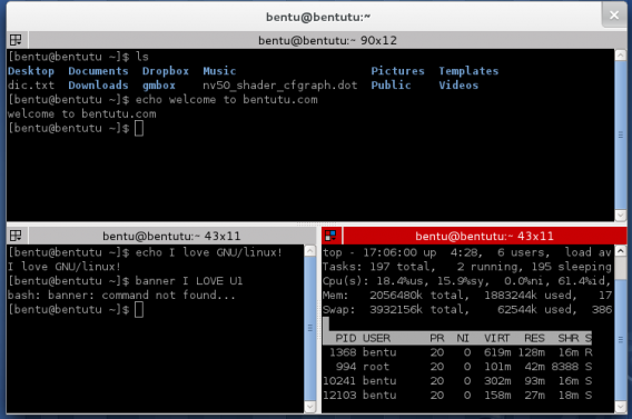 Как установить terminator на kali linux