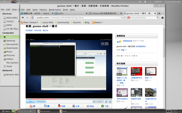 已经安装flashplayer
