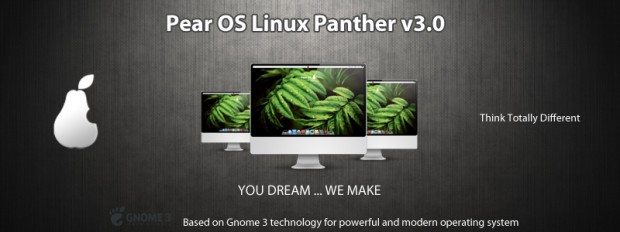 panther