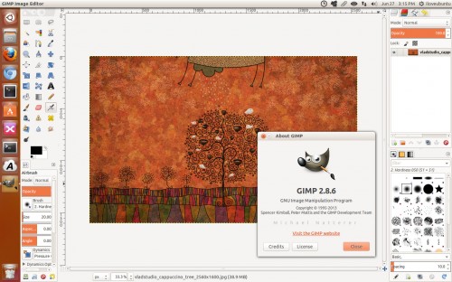 gimp 286