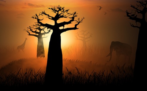ubuntu 13.10  wall contest123 5