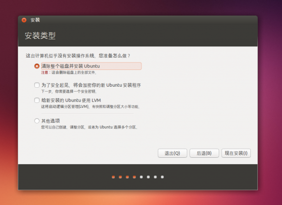 ubuntu13.10install03leixing