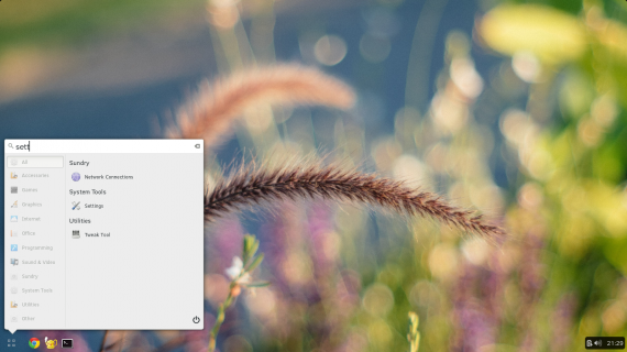 Budgie Desktop01