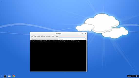 Budgie Desktop03