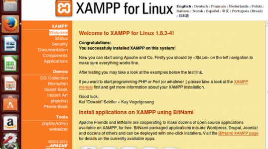 流行的 Linux 系统用户如何安装 XAMPP 1.8.3.4 服务