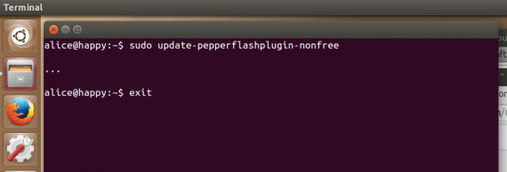 run-flash-installer