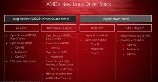 GPU