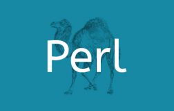 Perl 与动态网站的诞生