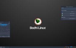 Bodhi Linux 4.2.0可以下载，运行Linux内核4.10