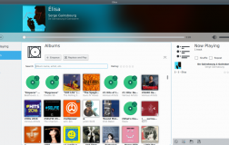Elisa Music Player首次发行