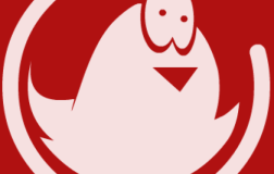 IMCN【我是菜鸟】博客全面恢复更新