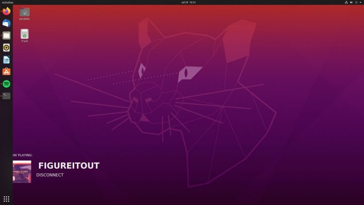 现在在 Ubuntu 20.04 LTS 上计时 Conky 脚本的屏幕截图