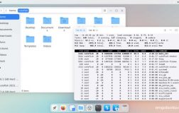 CuteFish OS Ubuntu 的屏幕截图 - 文件管理器和终端