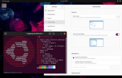 Ubuntu 22.04 每日构建中的 GNOME 41