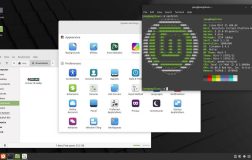 Linux Mint 21 Beta 测试版发布