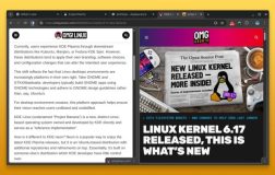 Split View in Google Chrome browser showing two websites side by side.