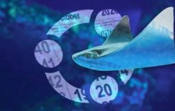 备好日历！Ubuntu 26.10 将于 2026 年 10 月发布