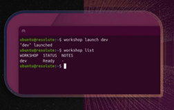 Canonical Workshop：一键构建可复现开发环境