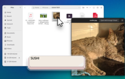 Ubuntu 26.04修复GNOME Sushi空格预览功能