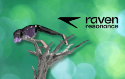 眼镜即电脑：Raven Prism 颠覆智能穿戴概念