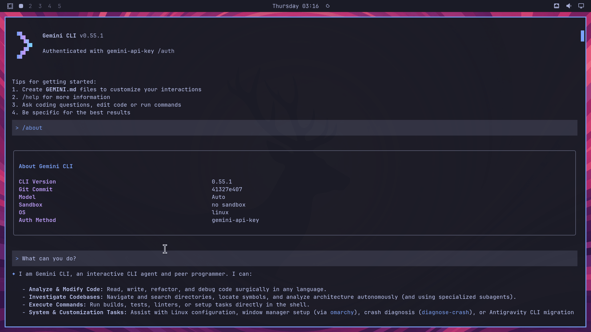 Omarchy Linux获800万美元注资,科技界大佬力挺