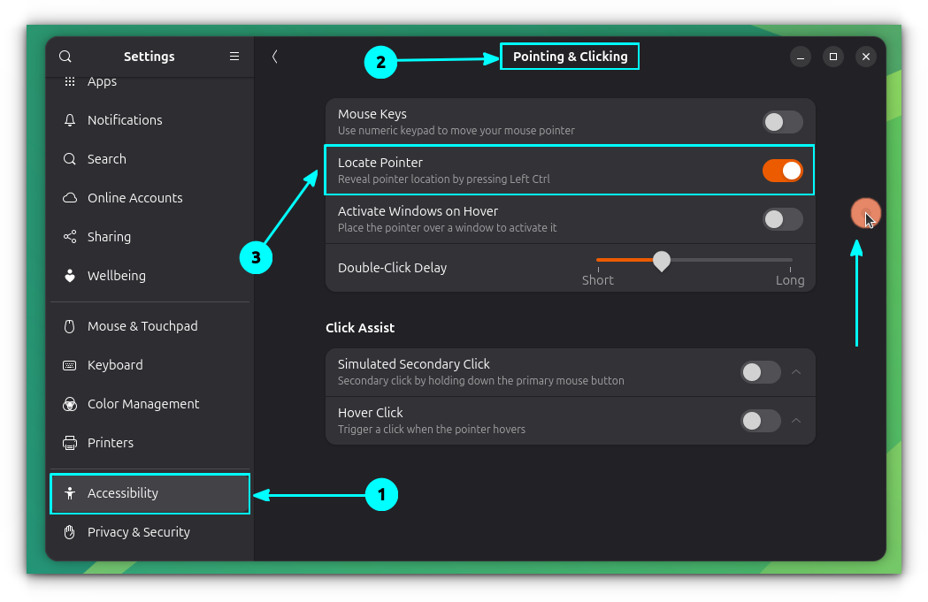 Settings to enable location pointer in Ubuntu