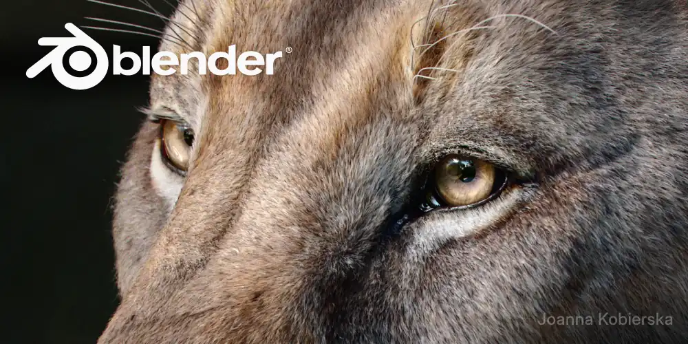Blender 5.2 LTS 启动画面