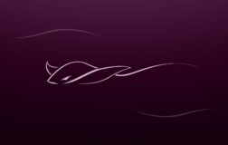 优雅鳐鱼：Ubuntu 26.10代号“Stonking”的深层寓意