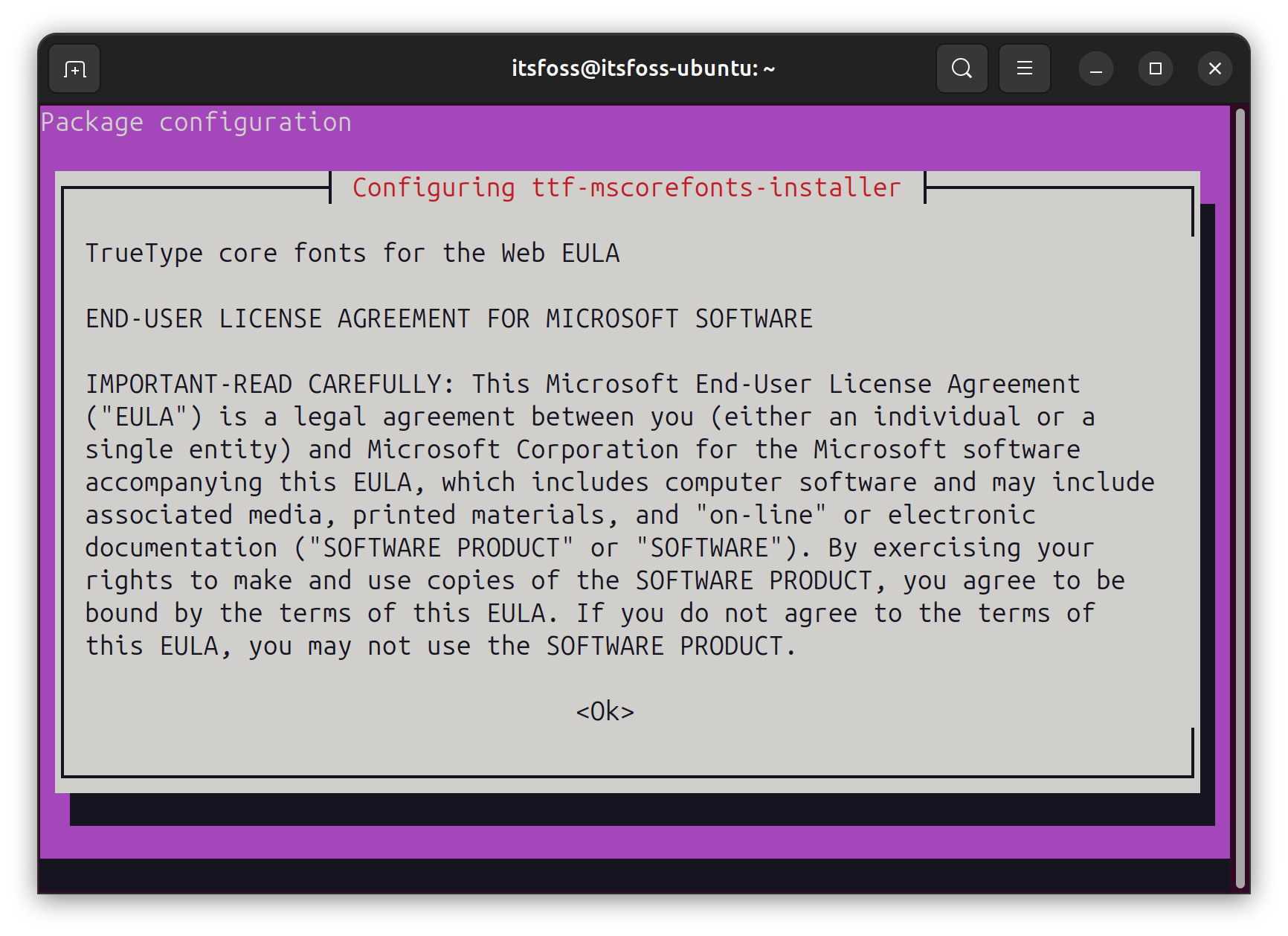 安装 Ubuntu 限制性扩展时接受微软 EULA